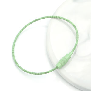 5pcs/lot 16cm Stainless Steel Wire Keychains Colored Cable Loop Screw Lock Rope Key Holder DIY Keyring Key Chains Jewelry Making