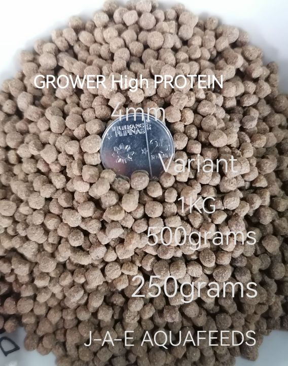 Image result for Grower HighProtein Float Koi Food Pellet(4mm)(500g/1Kg/5kg) | Lazada PH