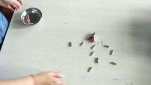 3/4 Inch Magnetic Tray Stainless Steel Round Magnetic Bowl Parts Tray For Screws Bolts Nuts