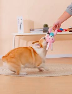 Interactive tug dog toy with sound