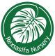 Rexsisifa_Nursery
