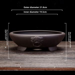 Yixing Purple Clay round Plant Pot for Succulent Plants Greenery Gold Ball Special Wind Desktop Bonsai Flowerpot Chinese Style