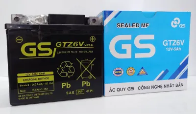 ￼Bình ắc quy GS GTZ6V 12V 5Ah dùng cho xe Winner Ab125/150 Vision Lead PCX Vario SH việt