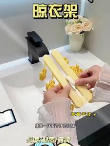 SHUANGNIU | Foldable Portable Clothes Hanger for Underwear and Socks
