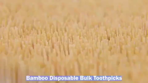 10pack/2000pcs Natural Bamboo Toothpick Home Restaurant Disposable Toothpicks Double-ended Fine Toothpick Wooden Toothpick Teeth Cleaner  ﻿