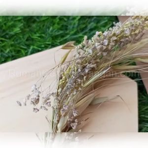 [50PCS - RCU025] UNDANGAN PERNIKAHAN / KHITANAN MURAH SIMPEL KLASIK MINIMALIS & TEBAL