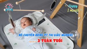 Đồ chơi cho trẻ sơ sinh - COMBO 4 Bộ chuyển động phát triển thị giác - TREO SẴN Chuẩn Montessori (Khách chỉ cần dùng)