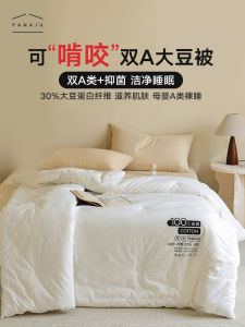 Class a Pure Cotton Antibacterial Soybean Summer Air Conditioning Quilt Single Double Bedding Spring Autumn Winter Letter Quilt