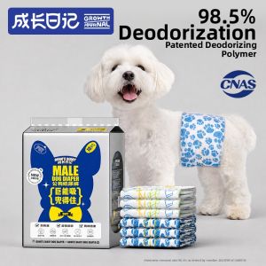 Dono | Incontinence Protection Pant Menstrual Sanitary Pants