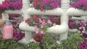 Gardening Tools Cleaning and Disinfection Pneumatic Spray Pot Watering Spray Pot