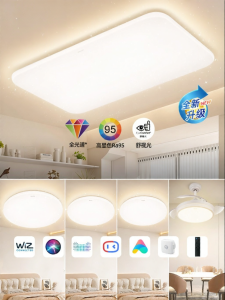 Philips | Modern Minimalist LED Ceiling Light Full Spectrum