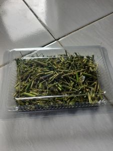 teh batang kelor asli