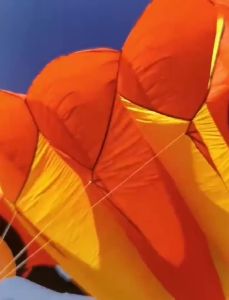 New large trilobites kite ripstop nylon outdoor flying parachute kites for adults kites octopus kite gel blaster Inflatable tent