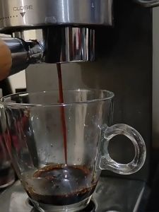 Ron (Gioăng) họng pha máy pha cà phê Delonghi EC820