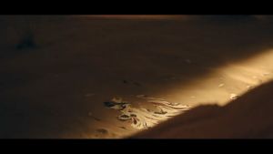 Ghế gấp dã ngoại Glamping NatureHike NH19Y002-D (BST Đôn Hoàng)