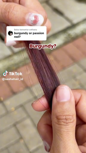 Sasha Hair Professional Colorant | Hair Professional Colorant 25gr