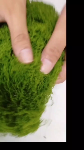 50g GREEN ARTIFICIAL MOSS GRASS TURF LAWN GREEN FAKE PLANT FOR LANDSCAPE POTTED(WF-QT001)(WF-TQ001)