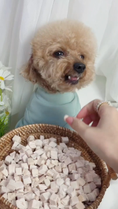 Freeze-dried cat snacks chicken cubes/chicken breast/Duck meat/chicken heart  snacks Gain weight nutritious cat food