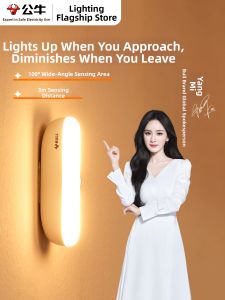 Bull | Human Induction Light Home Bedroom Hallway Toilet