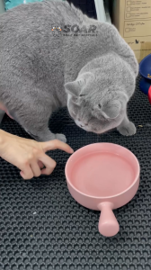 Mimiku Pet Smart Water Fountain 3L Safe ABS Material Automatic Drinking Bowl