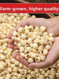 Pure Natural Premium Hand-Peeled Lotus Seeds 500g