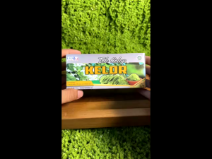 Teh Celup Herbal Daun Kelor Turunkan Gula Darah Kolesterol Teh Celup Daun Kelor 100% Original
