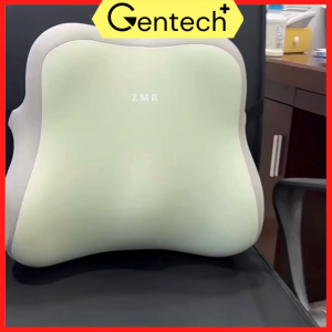 2 in 1 Lumbar Support Office Seat Cushion Pillow Sedentary Waist Support Cushion