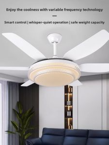 Chigo | Large Capacity Ceiling Fan Light with High Wind Power