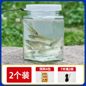 Fishing Tool for Kids Shallow Reservoir Only in Not out Fish Grabbing Bottle Pond River Small Stream Childrens Fishing Equipment