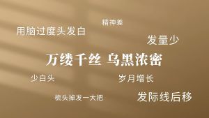 [SG READY STOCK] Five Black TeaBlack RiceBlack BeansMulberriesBlack WolfberryBlack Sesame(250g/50BAGS)五黑茶黑米黑豆桑椹黑枸杞 Five Black Tea Ingredients - Lazada