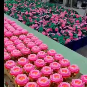 Nến Bơ Nến Hoa Sen Nến Bơ Hoa Sen Nến Thực Vật Nến Bơ Thực Vật An Toàn 100% Cho Sức Khoẻ Không Khói Không Mùi Không Để Lại Muội