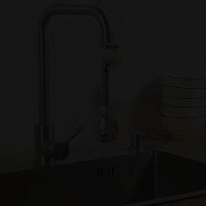 ก๊อกน้ำล้างจาน 2ระบบ ก๊อกน้ำซิงค์ หมูเห็น 2ระบบ (ไหลแบบก๊อกน้ำ / ไหลแบบฝักบัว) B37