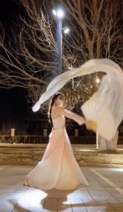 Quạt Lụa Dài Biểu Diễn Khiêu Vũ Bụng Quạt Lụa Trắng Nguyên Bản Quạt Khiêu Vũ Dài Hơn Phụ Kiện Khiêu Vũ