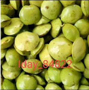 BUAH JENGKOL MUDA 1KG  SEGER KEMASAN KULIT