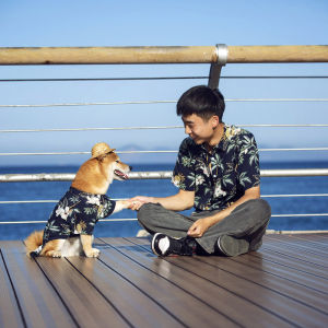 Teekland People-pets Matching Clothes Summer Pet Clothes Cool Beach Hawaiian Style Dog Shirt Breathable Shirts Small and Medium Dog Costumes