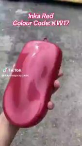 KAWAN PAINT - KW17 INKA RED SUPERSTAR BRAND