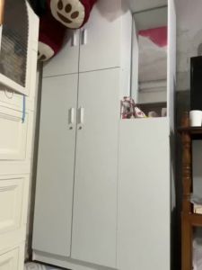RISERO Wooden Wardrobe Hanging Wardrobe Mirrored Wardrobe Modern Simple Clothes Storage Cabinet