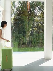 Diplomat | Durable Rainbow Trunk Luggage