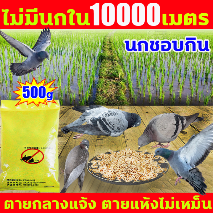 ยาเบื่อนกพิราบ 500g เห็นผลชัวร์ 100% ตายใน 1 วัน