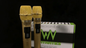 RAYHAYES Wireless Microphone UHF Rechargeable Microphone for Performing Christmas Party