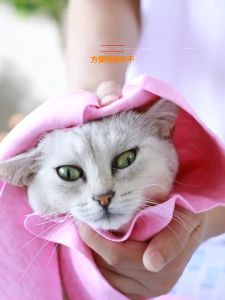 Handuk Mandi Hewan Peliharaan: Pilihan Terbaik untuk Anjing & Kucing