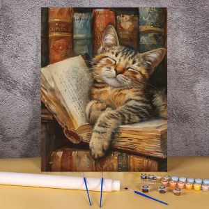 Oil Painting Package Book Cat Diy Paint By Numbers for Adults on Canvas Acrylic Paint Kit Wall Art Home Decoration Gift