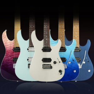 Shijie | Advanced Professional Double Tremolo Electric Guitar