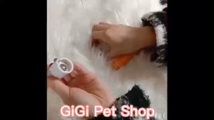 Máy mài móng chân cho thú cưng chó mèo phù hợp chó lớn nhỏ tặng kèm đầu thay thế - GiGi Pet Shop