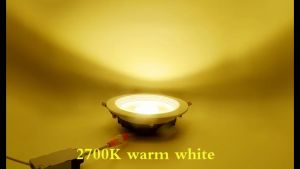LED 18W 6 Inch COB Recessed Round Downlight Ceiling Light Home Lighting Lamp Lampu Siling