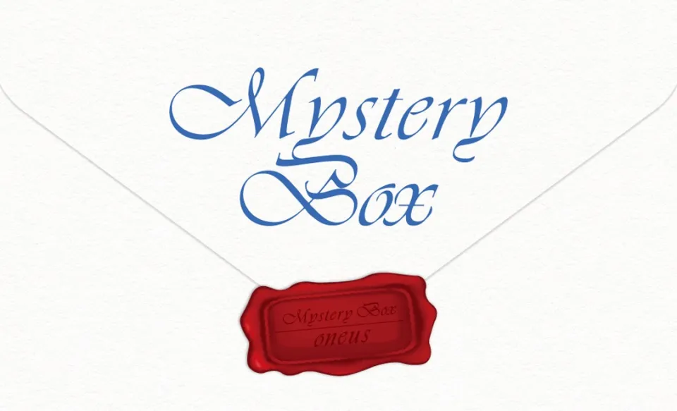 Mystery Box) Oneus Mystery Box | Lazada Singapore