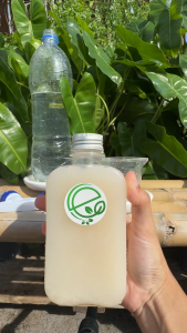 เอ็นกรีน จุลินทรีย์จาวปลวก แก้ดินแน่น ย่อยอินทรีย์ ปรับดินให้ร่วน ปลูกผักงาม หมักดินเสียให้พร้อมใช้ l Engreen