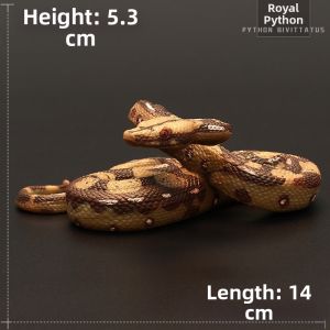 MENGSILE | Realistic Learning Animal Toy