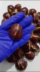 Jengkol Tua Mentah Pulen kemasan 1kg dan 500gram