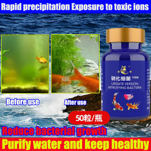 Quickly fights harmful bacteria educe fish diseases ITRIFYING BACTERIA Quickly purify water quality and maintain health WATER STABILIZER 硝化菌